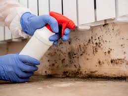 Best Environmental Consulting for Mold Prevention  in Forest, OH